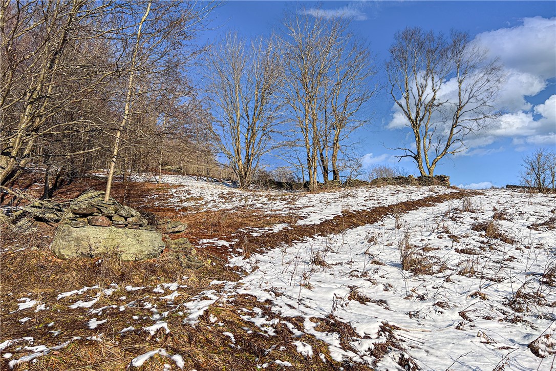 26 Federal Hill Road Delhi, NY 13753 - Photo 26 of 50