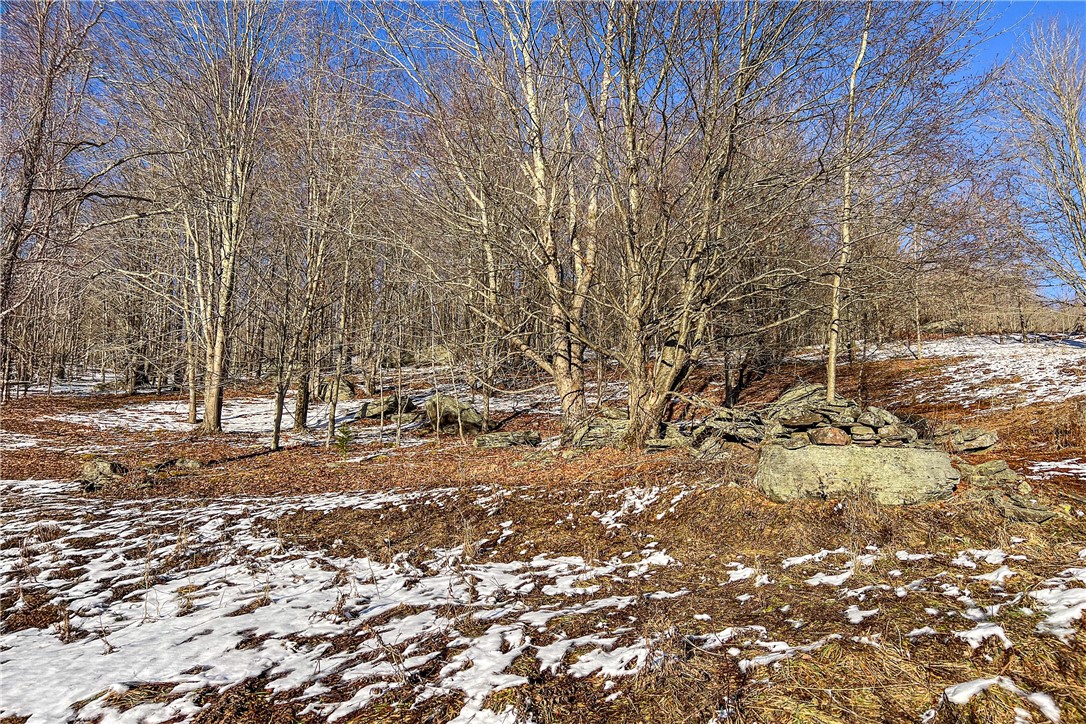 26 Federal Hill Road Delhi, NY 13753 - Photo 27 of 50