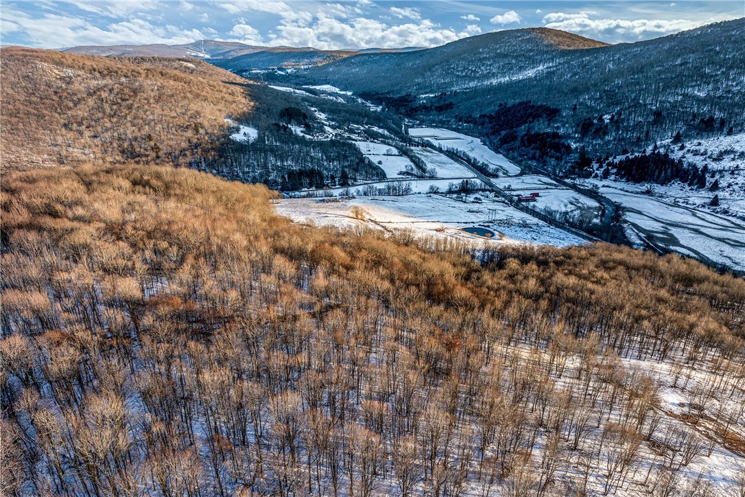 26 Federal Hill Road Delhi, NY 13753 - Photo 29 of 50