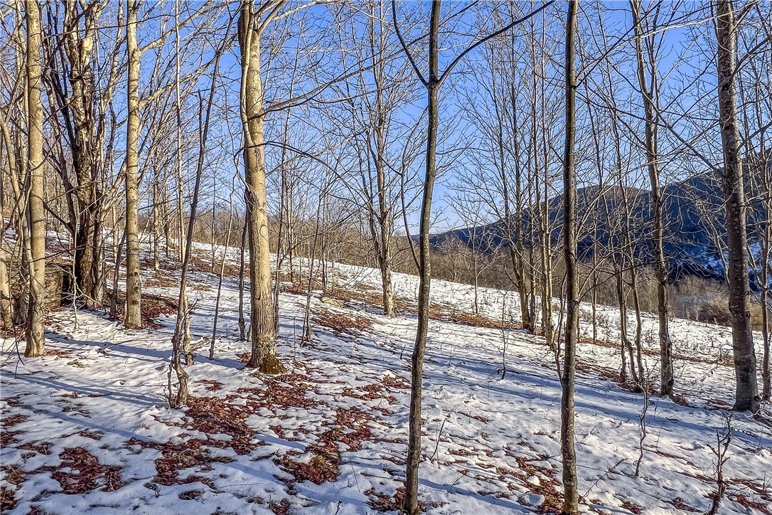 26 Federal Hill Road Delhi, NY 13753 - Photo 30 of 50