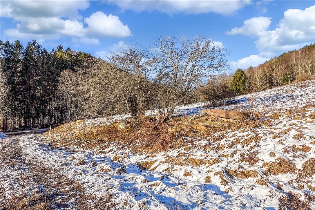 26 Federal Hill Road Delhi, NY 13753 - Photo 3 of 50