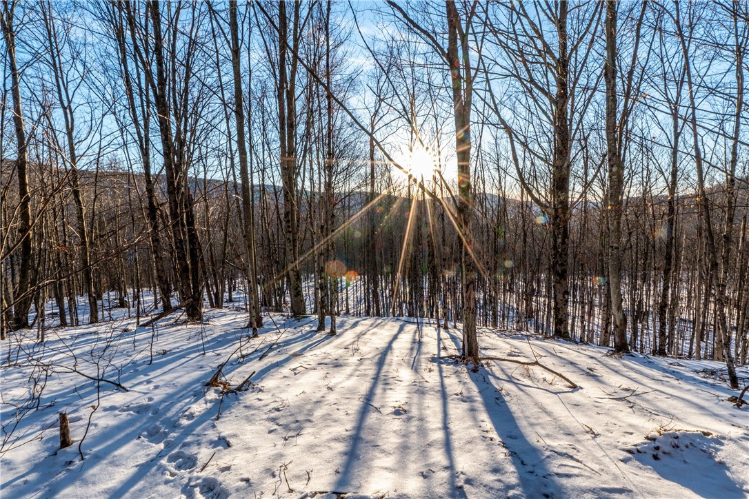 26 Federal Hill Road Delhi, NY 13753 - Photo 31 of 50