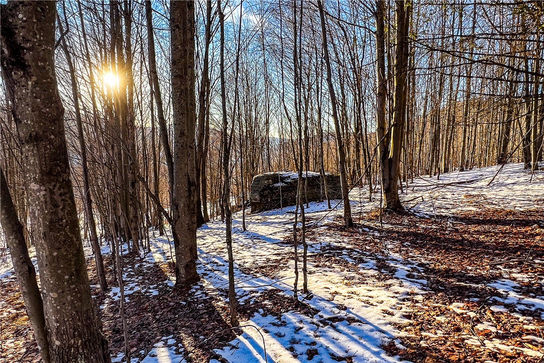 26 Federal Hill Road Delhi, NY 13753 - Photo 32 of 50