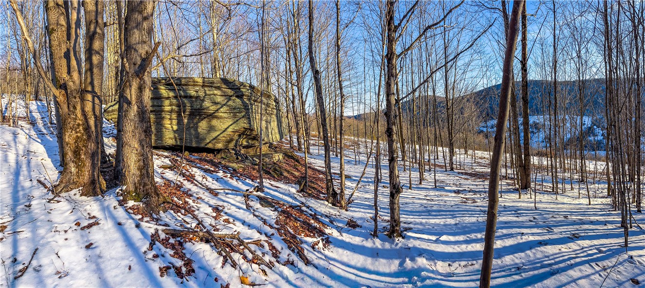 26 Federal Hill Road Delhi, NY 13753 - Photo 33 of 50