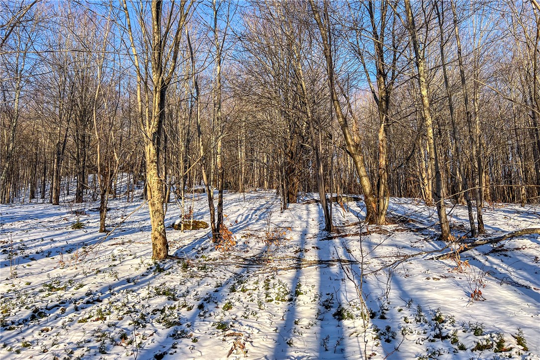 26 Federal Hill Road Delhi, NY 13753 - Photo 34 of 50