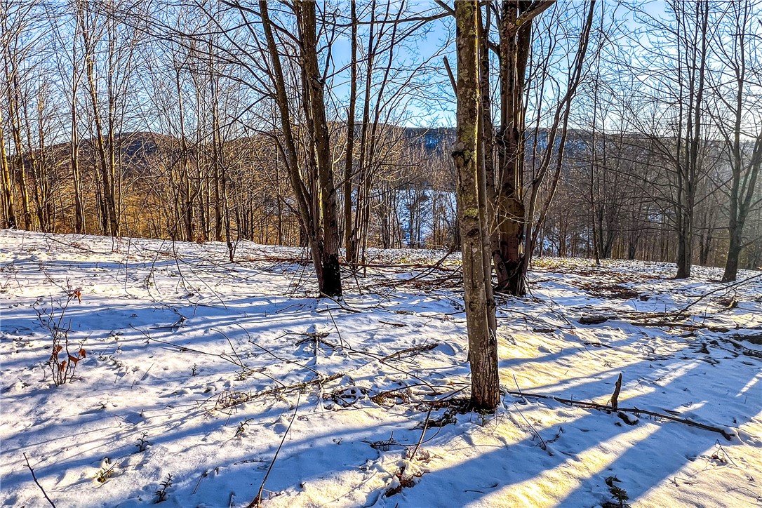 26 Federal Hill Road Delhi, NY 13753 - Photo 35 of 50