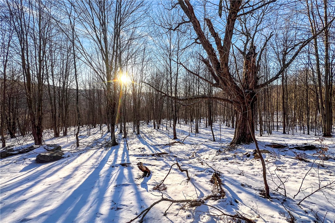 26 Federal Hill Road Delhi, NY 13753 - Photo 36 of 50