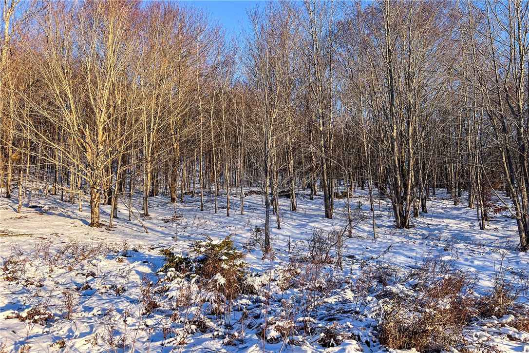 26 Federal Hill Road Delhi, NY 13753 - Photo 38 of 50