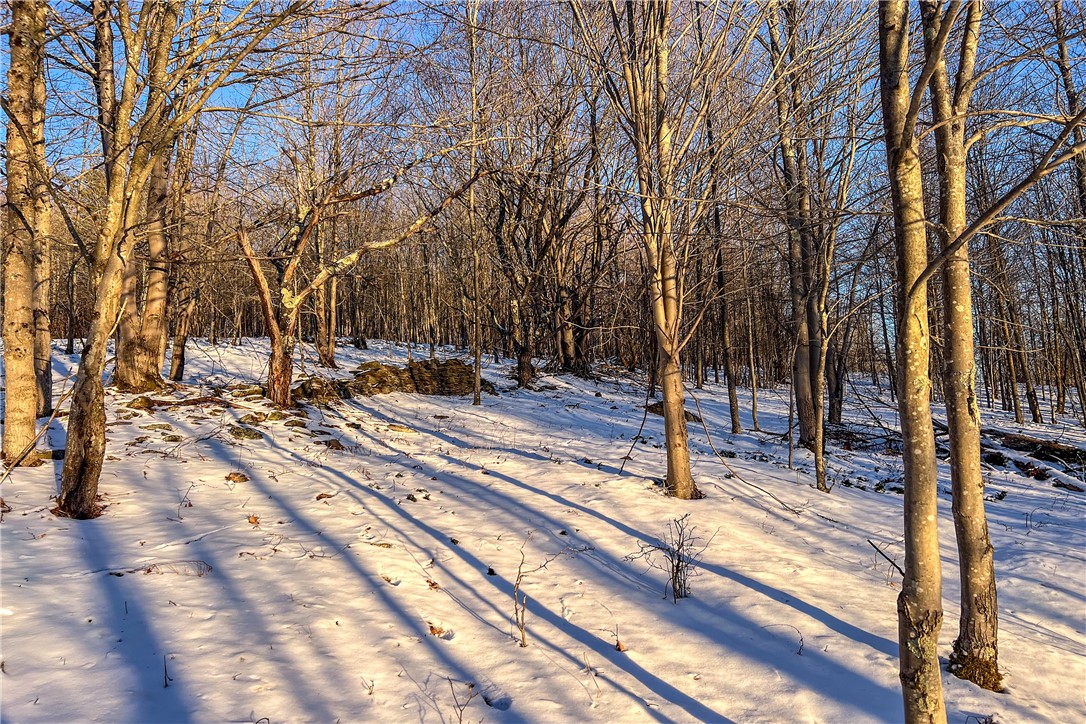 26 Federal Hill Road Delhi, NY 13753 - Photo 39 of 50