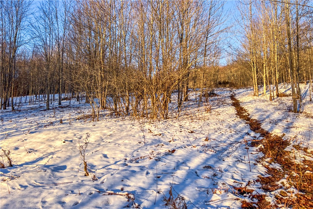 26 Federal Hill Road Delhi, NY 13753 - Photo 40 of 50