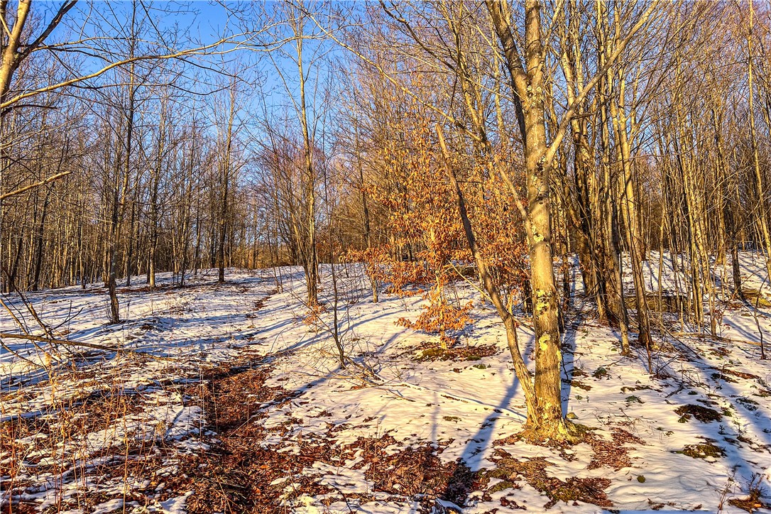 26 Federal Hill Road Delhi, NY 13753 - Photo 41 of 50