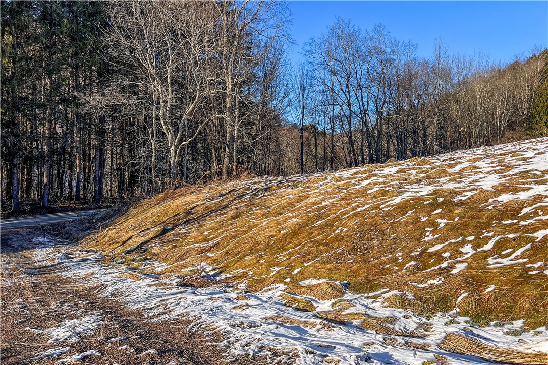 26 Federal Hill Road Delhi, NY 13753 - Photo 43 of 50