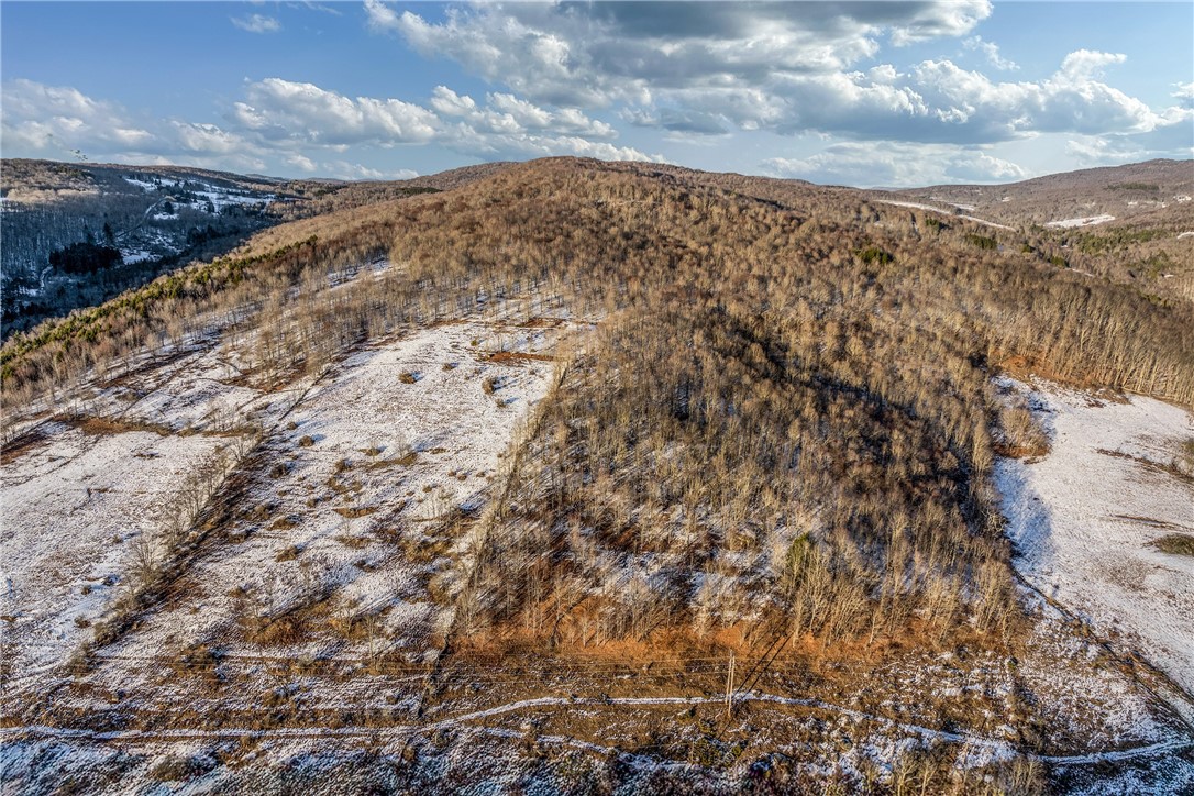 26 Federal Hill Road Delhi, NY 13753 - Photo 44 of 50