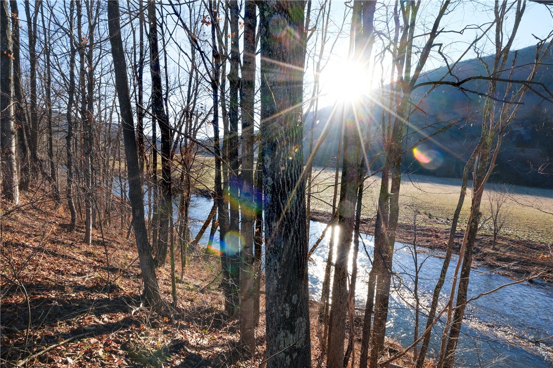 26 Federal Hill Road Delhi, NY 13753 - Photo 46 of 50