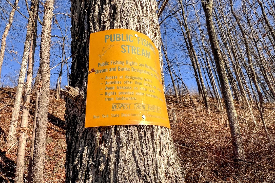 26 Federal Hill Road Delhi, NY 13753 - Photo 49 of 50