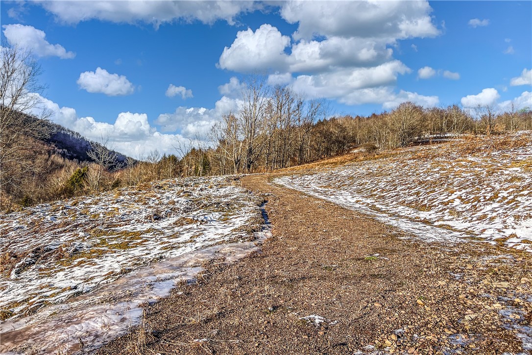 26 Federal Hill Road Delhi, NY 13753 - Photo 6 of 50