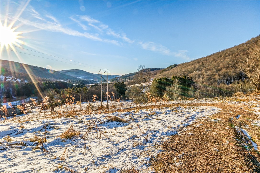 26 Federal Hill Road Delhi, NY 13753 - Photo 8 of 50