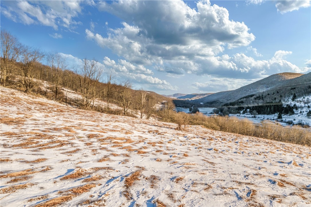 26 Federal Hill Road Delhi, NY 13753 - Photo 9 of 50