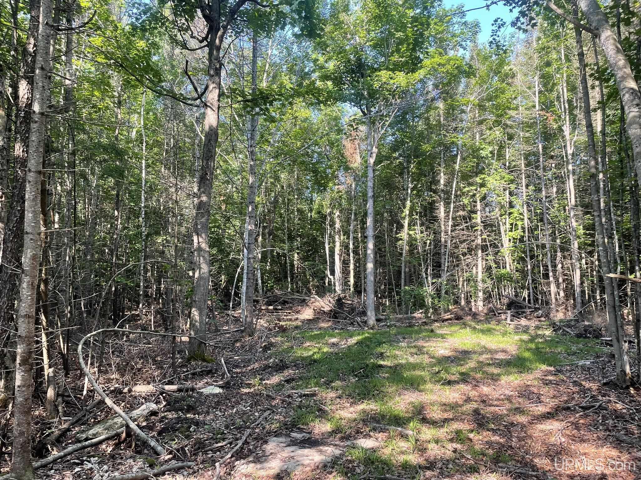 Tbd 17th Road Garden, MI 49835 - Photo 6 of 10
