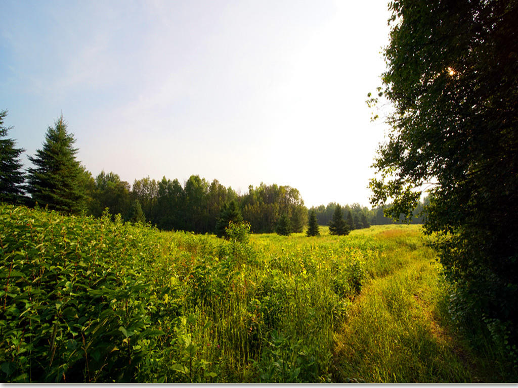 Lot 9-1 New Limerick Road Houlton, ME 04730 - Photo 12 of 40 me-land-leisner-set