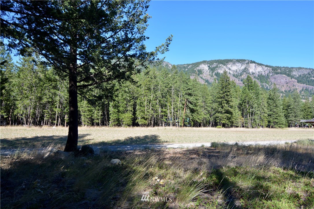 21 Emerson Road Mazama, WA 98833 - Photo 2 of 21 Gallery Image 2