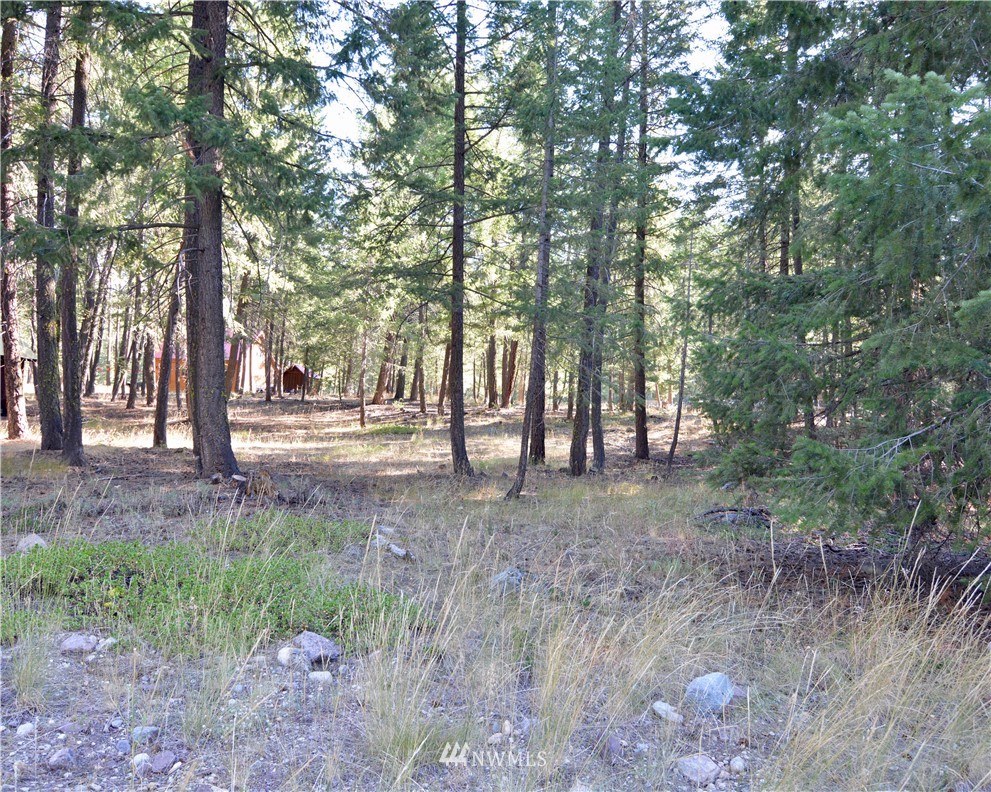 21 Emerson Road Mazama, WA 98833 - Photo 11 of 21 Gallery Image 11