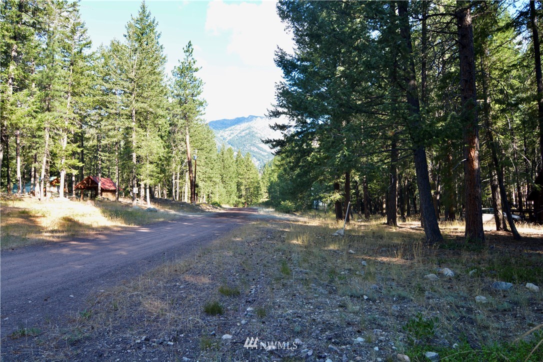 21 Emerson Road Mazama, WA 98833 - Photo 13 of 21 Gallery Image 13
