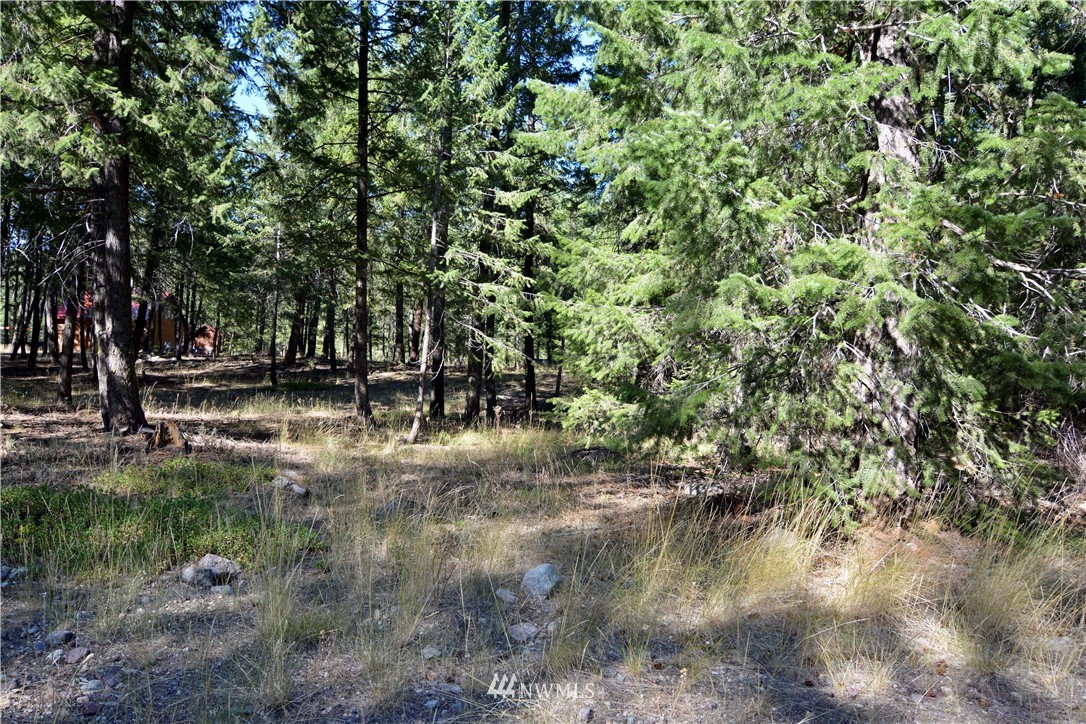 21 Emerson Road Mazama, WA 98833 - Photo 14 of 21 Gallery Image 14