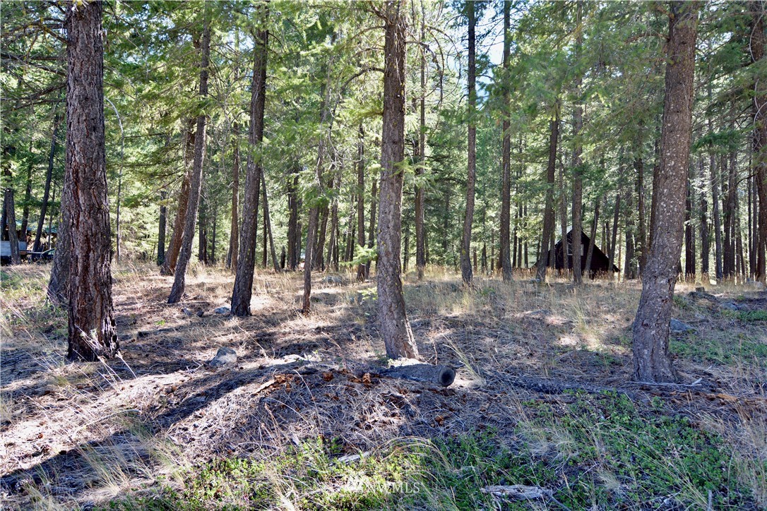 21 Emerson Road Mazama, WA 98833 - Photo 16 of 21 Gallery Image 16