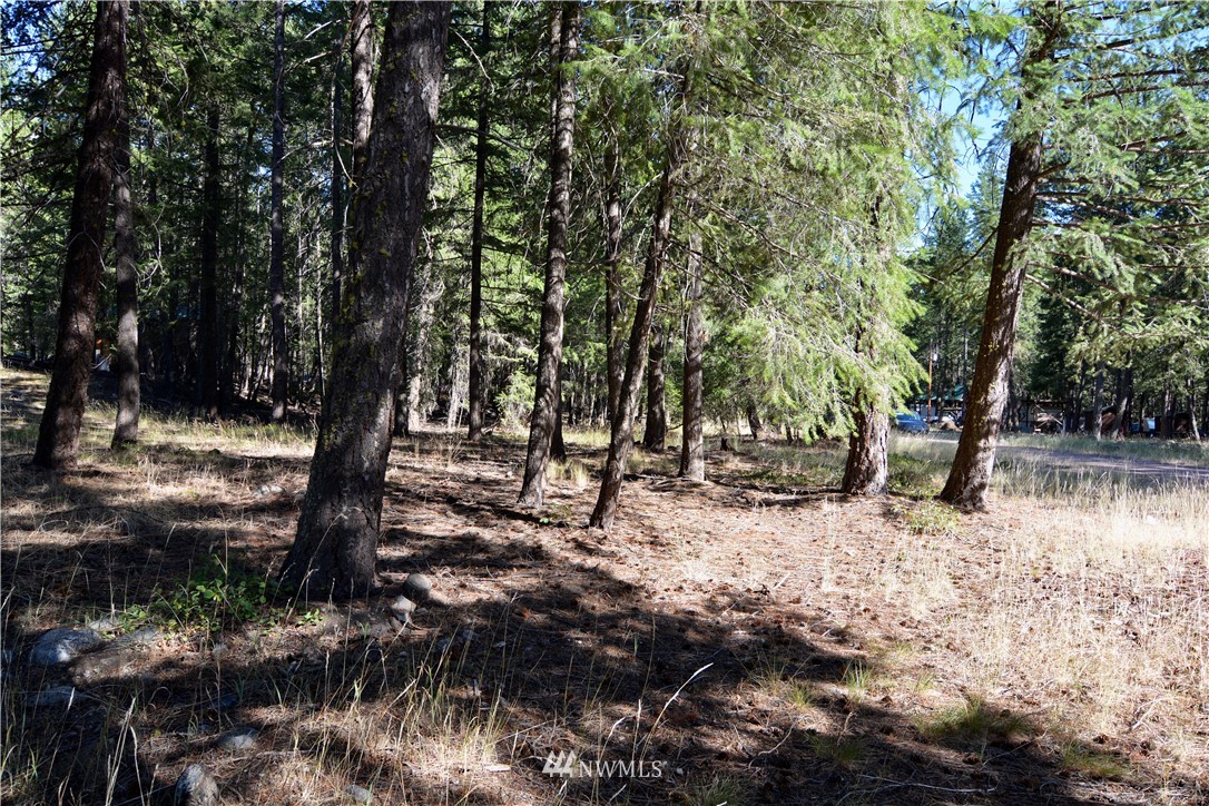 21 Emerson Road Mazama, WA 98833 - Photo 17 of 21 Gallery Image 17