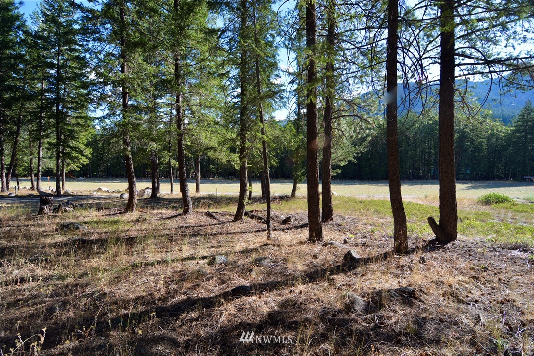 21 Emerson Road Mazama, WA 98833 - Photo 20 of 21 Gallery Image 20