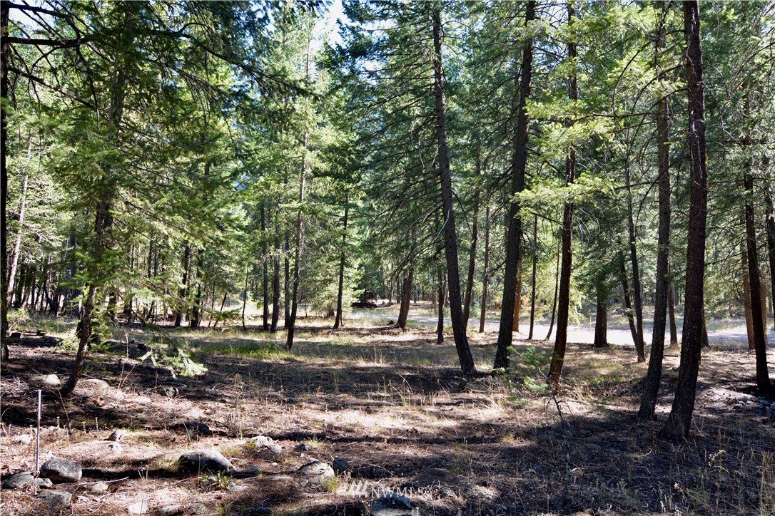 21 Emerson Road Mazama, WA 98833 - Photo 3 of 21 Gallery Image 3
