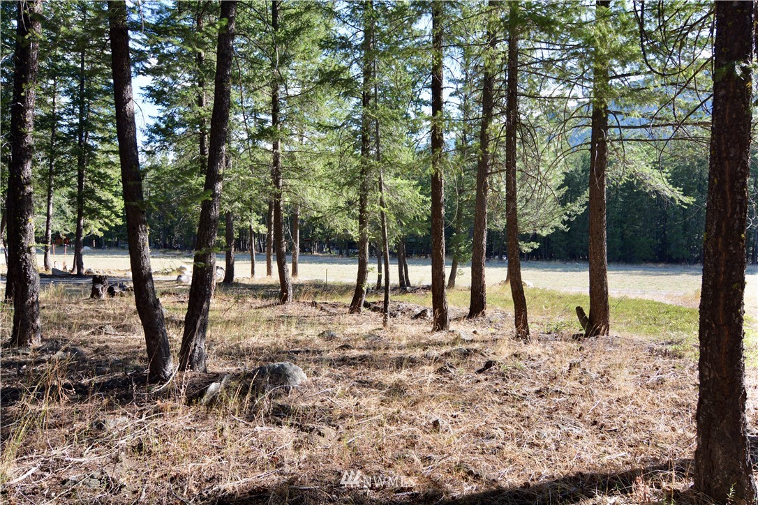 21 Emerson Road Mazama, WA 98833 - Photo 4 of 21 Gallery Image 4