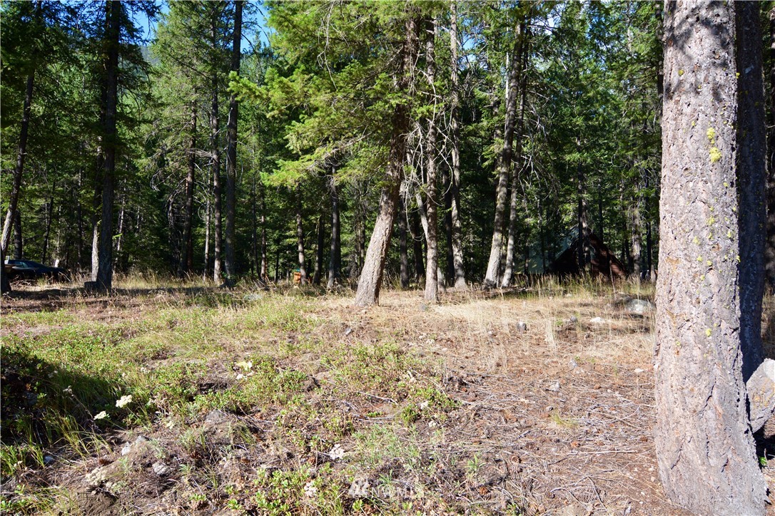 21 Emerson Road Mazama, WA 98833 - Photo 5 of 21 Gallery Image 5