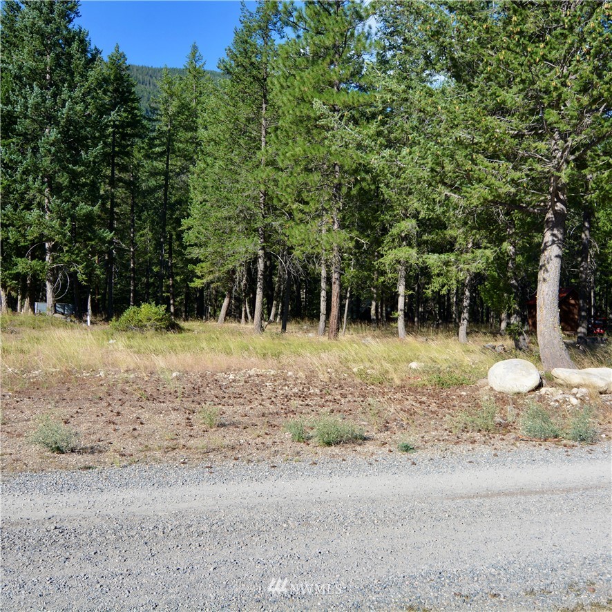 21 Emerson Road Mazama, WA 98833 - Photo 7 of 21 Gallery Image 7