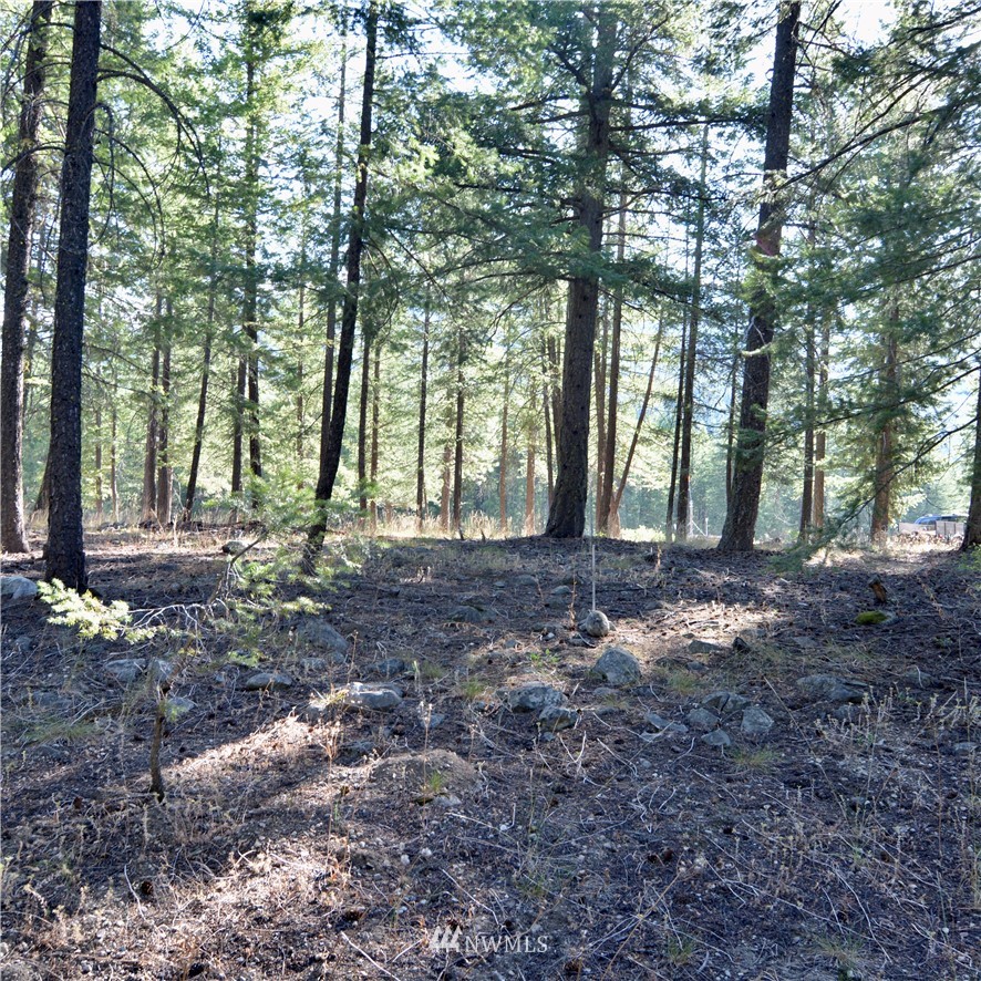 21 Emerson Road Mazama, WA 98833 - Photo 8 of 21 Gallery Image 8
