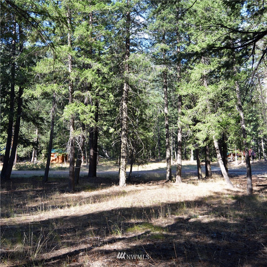 21 Emerson Road Mazama, WA 98833 - Photo 9 of 21 Gallery Image 9