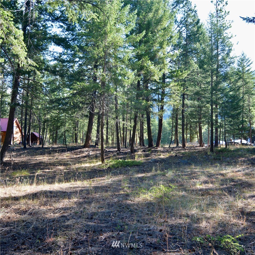 21 Emerson Road Mazama, WA 98833 - Photo 10 of 21 Gallery Image 10