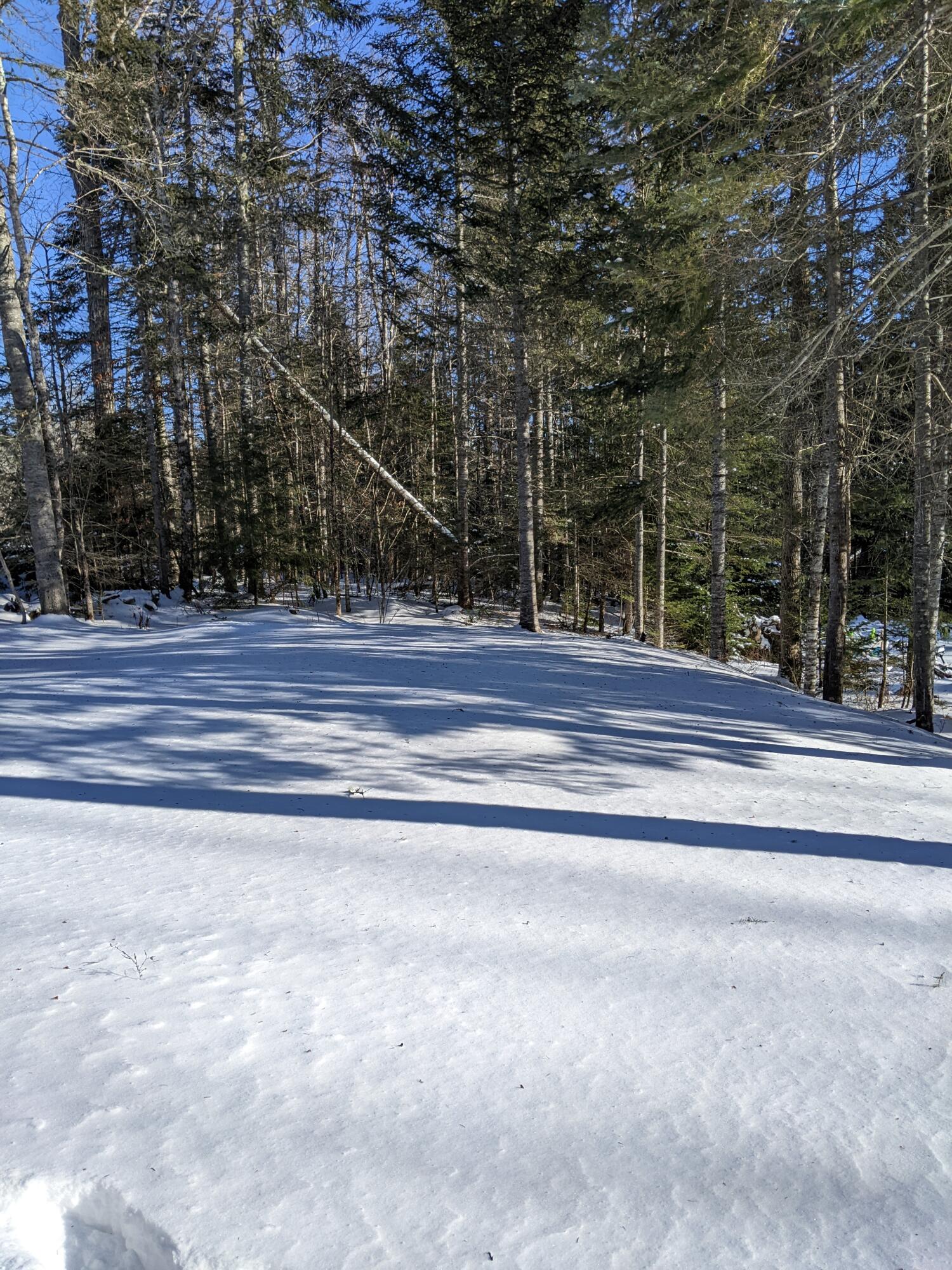 149 Pond Road Dyer Brook, ME 04747 - Photo 50 of 71 PXL_20220115_174318400