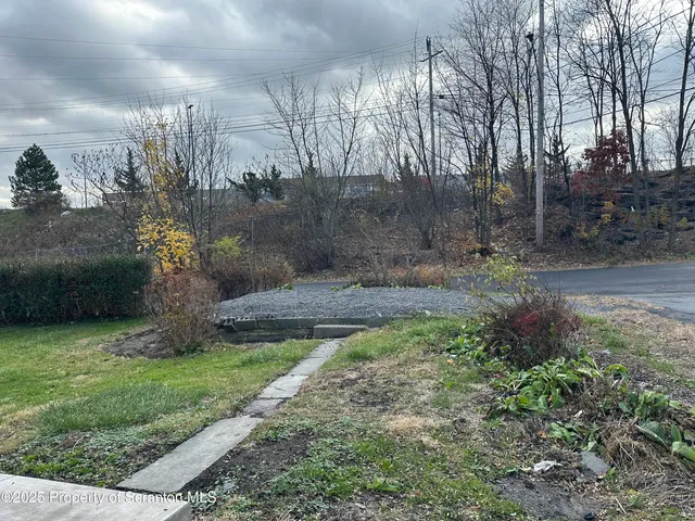 a view of a garden with large trees
