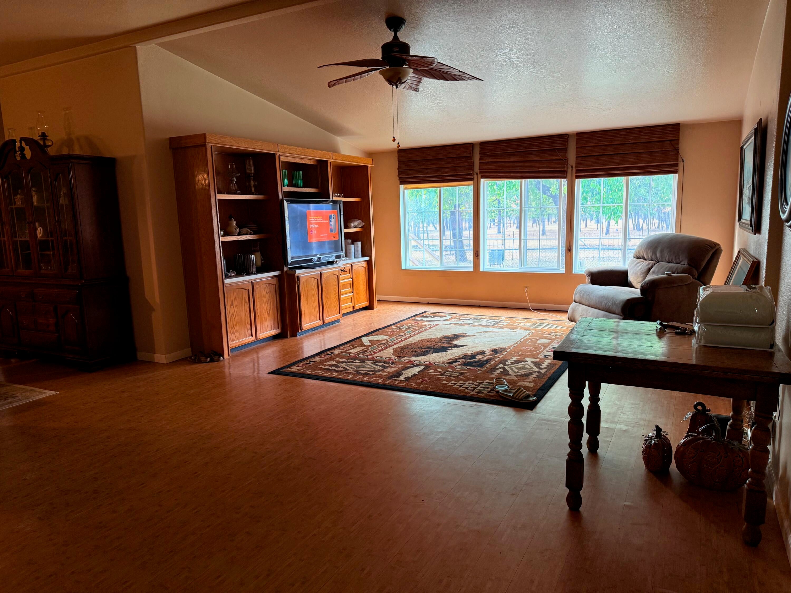1800 Dick George Road Cave Junction, OR 97523 - Photo 9 of 37 living room, entainment center