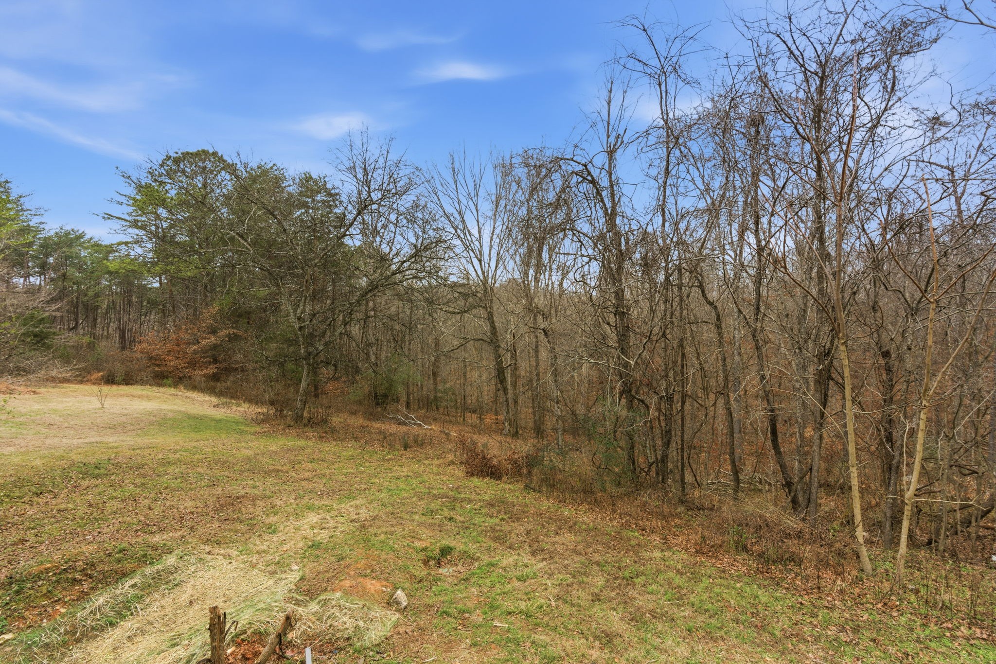 1067 Simms Heights Road Kingston Springs, TN 37082 - Photo 11 of 13 a view of a yard with large trees