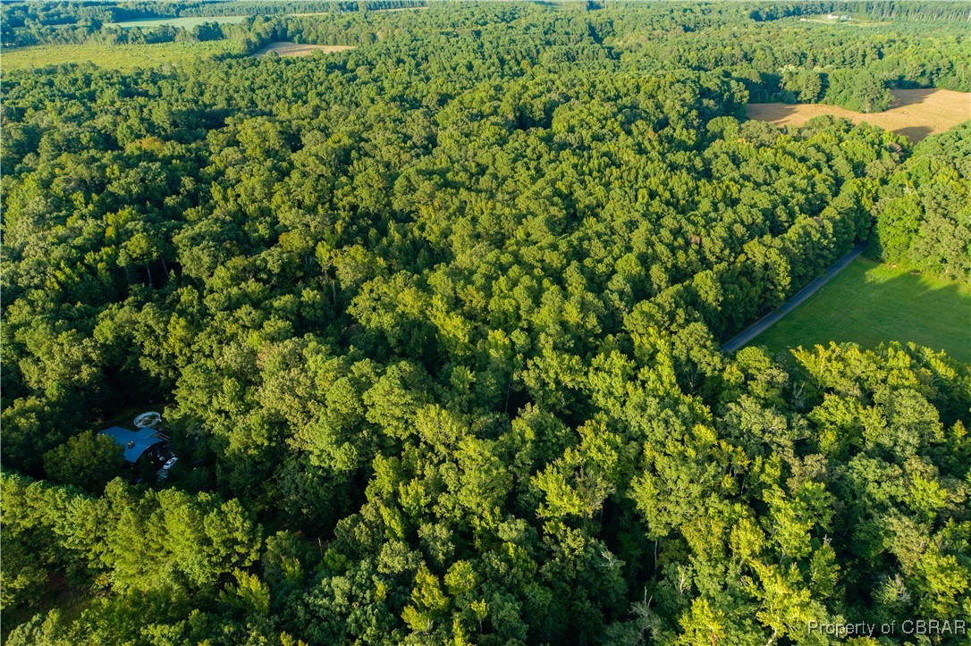 0 Island Road Gloucester, VA 23061 - Photo 4 of 25