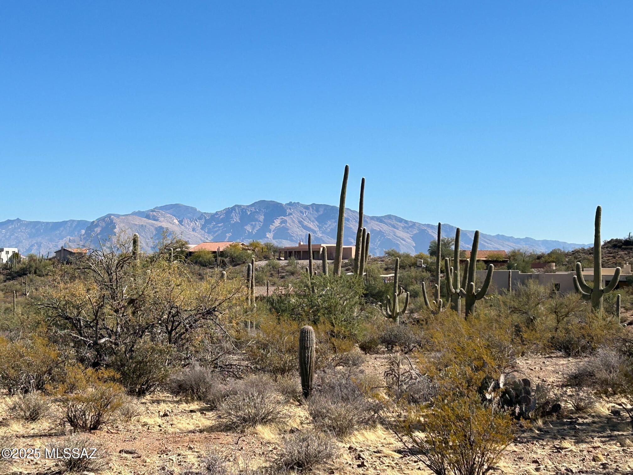 4146 North Gerhart Road Tucson, AZ 85745 - Photo 5 of 18 Gallery Image 5