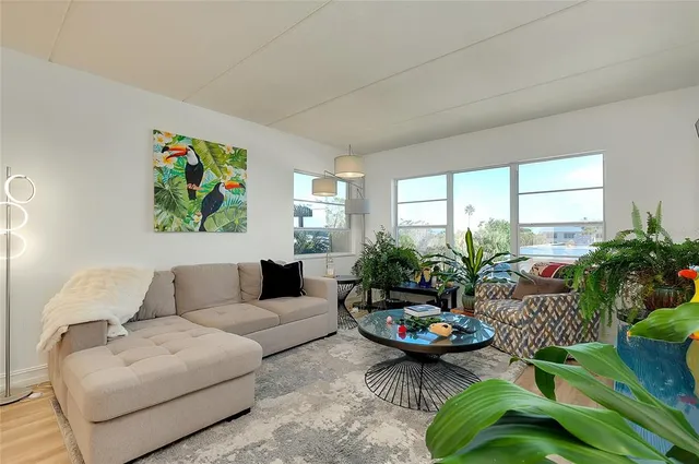 a living room with furniture and a potted plant