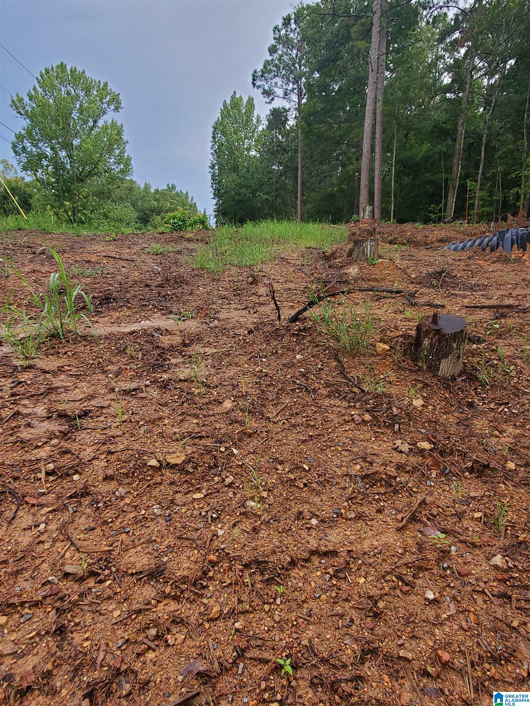 0 Broken Arrow Creek Road, Unit 825 Riverside, AL 35135 - Photo 12 of 12 Gallery Image 12