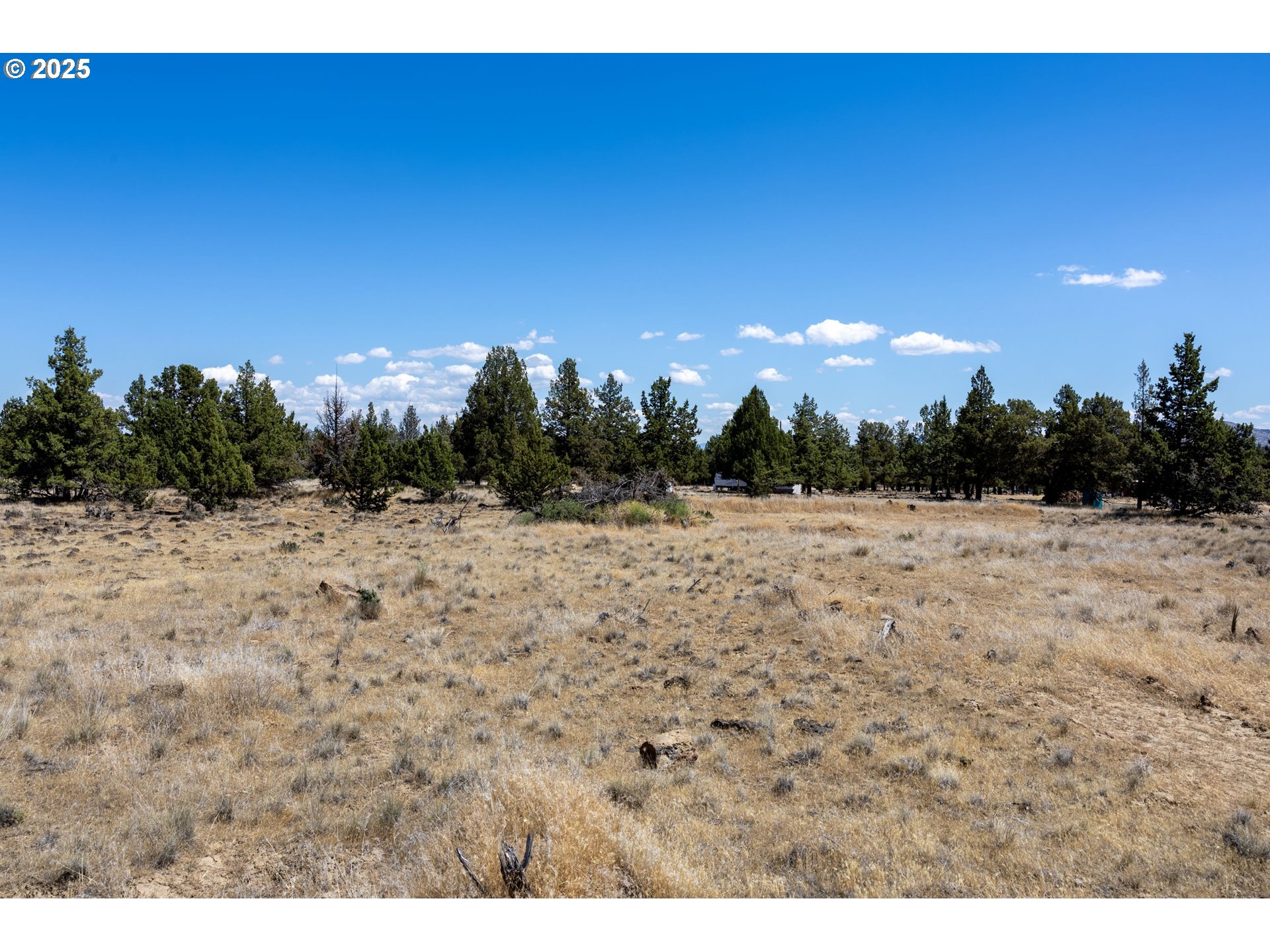 13 Rim Park Culver, OR 97734 - Photo 19 of 28 a view of outdoor space and yard