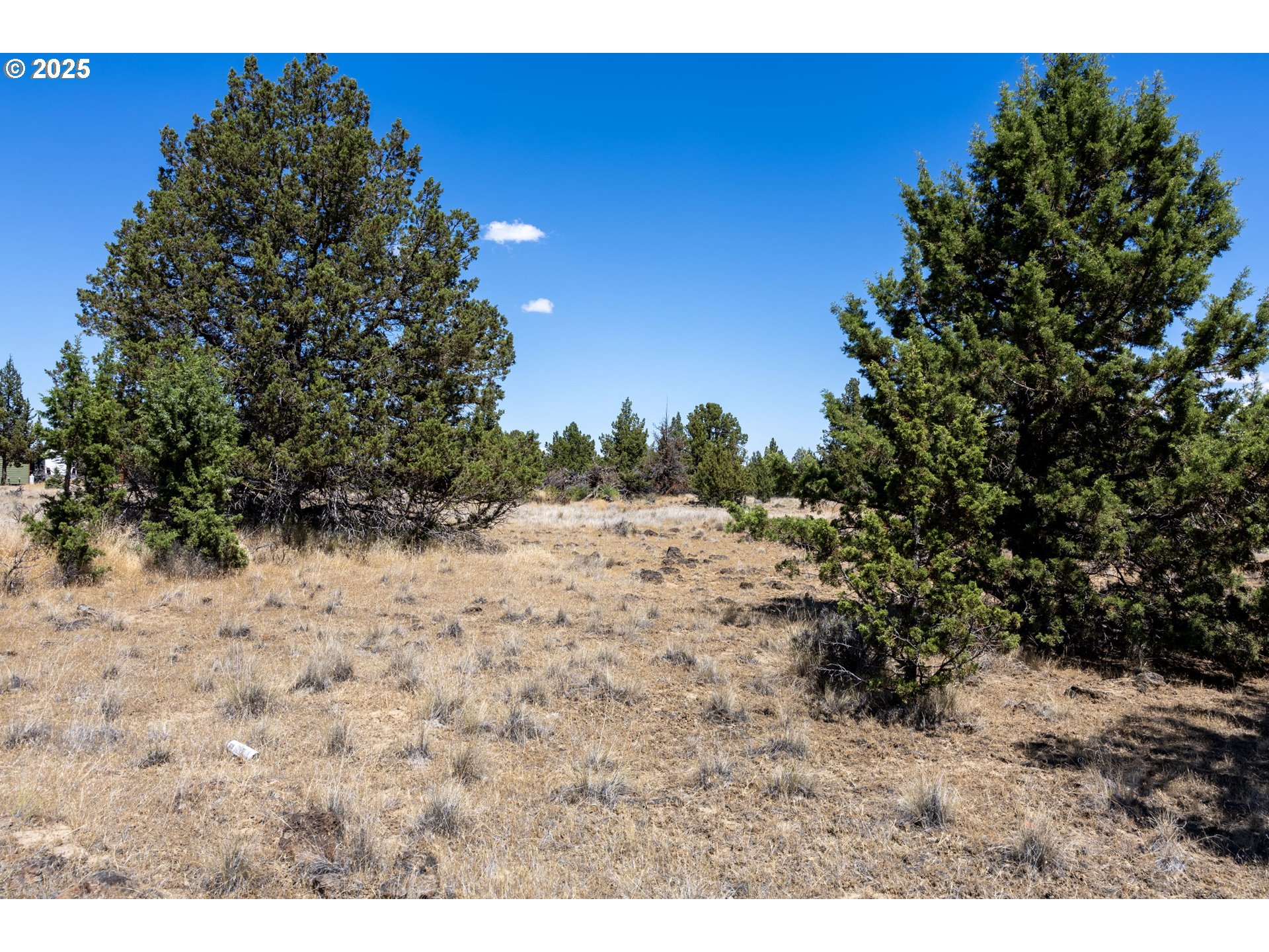 13 Rim Park Culver, OR 97734 - Photo 21 of 28 a view of a dry yard with trees in the background