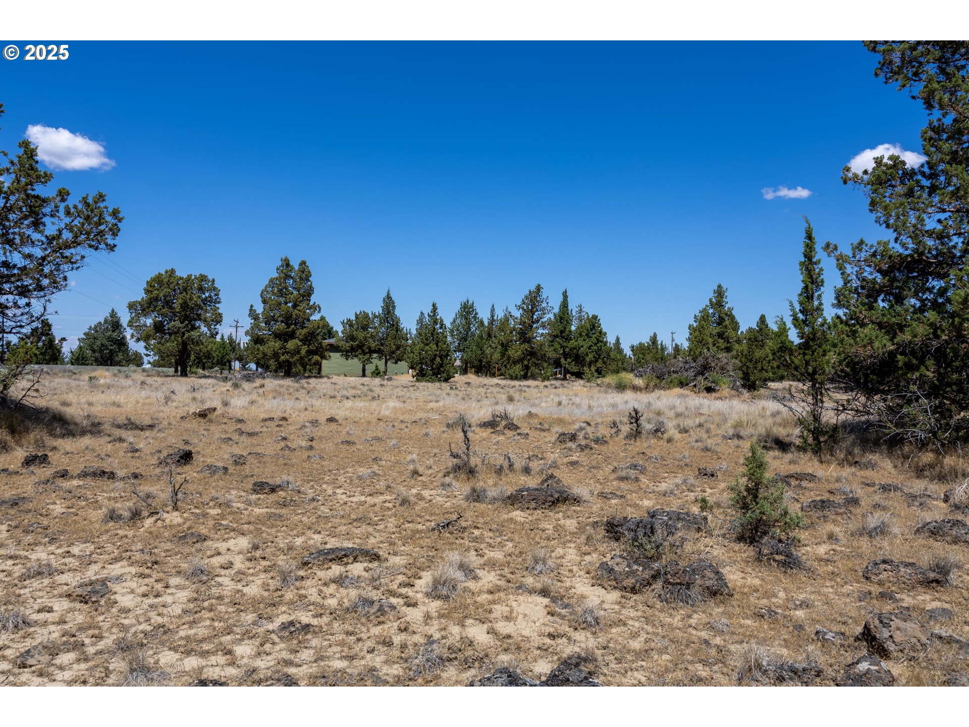 13 Rim Park Culver, OR 97734 - Photo 22 of 28 a view of a yard with a tree