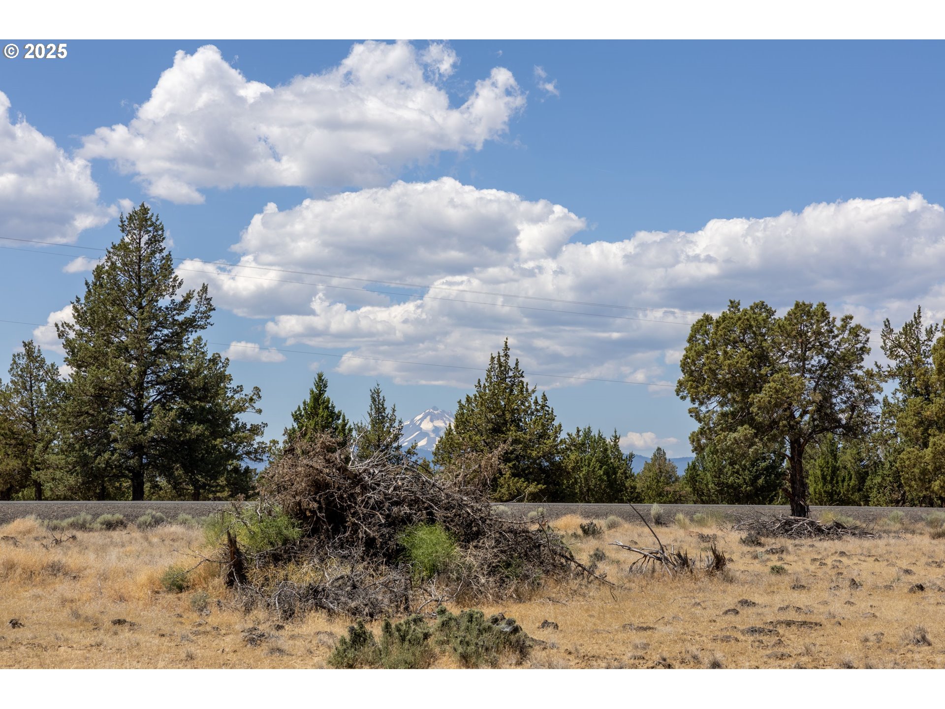 13 Rim Park Culver, OR 97734 - Photo 25 of 28 a view of a dry yard with trees in the background